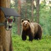 4G 4K 30FPS Solar Trail Camera Outdoor Wildlife Camera Motion Activated IP66 Waterproof with 140ºViewing Angle No Glow Night Vision SIM Card APP Contr